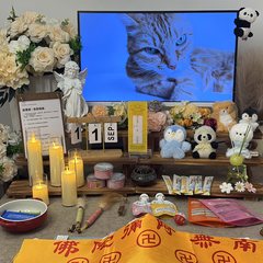 宠物家长客户见证