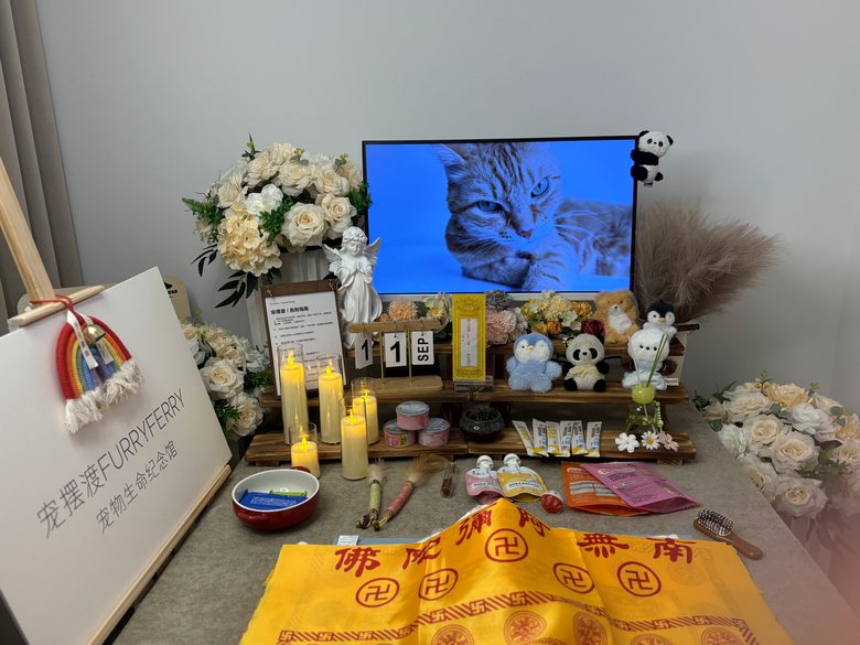宠物纪念相册与追思布置